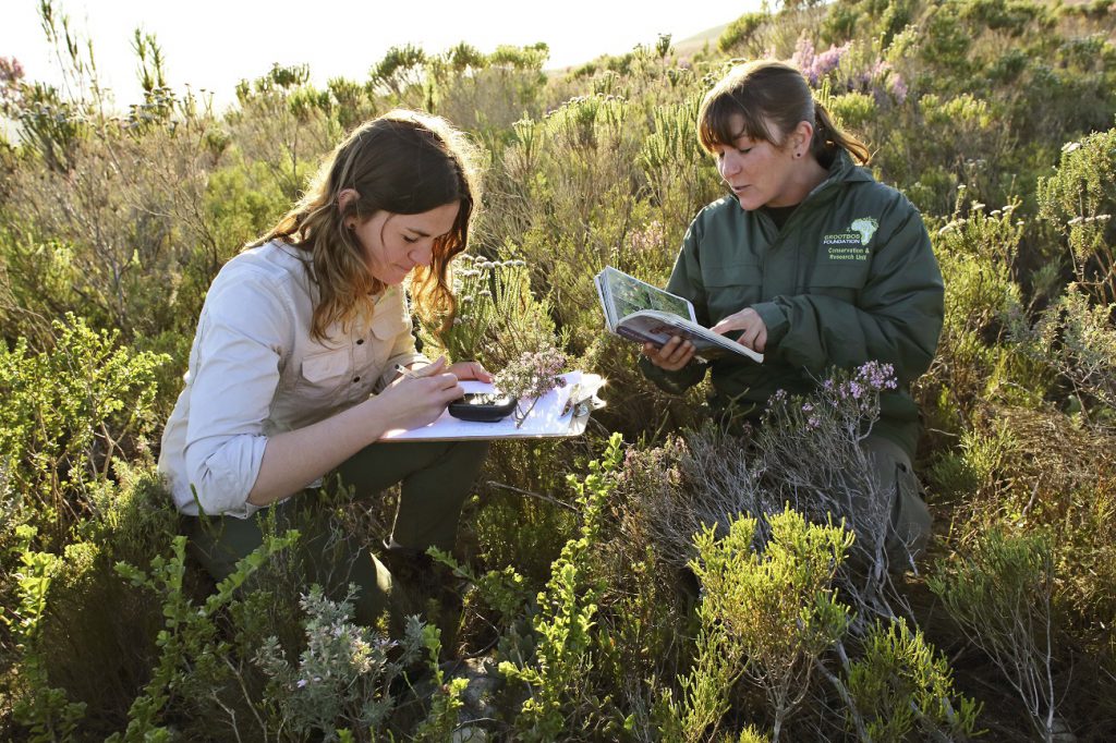 Freiwilligenarbeit Ökologische Landwirtschaft Südafrika