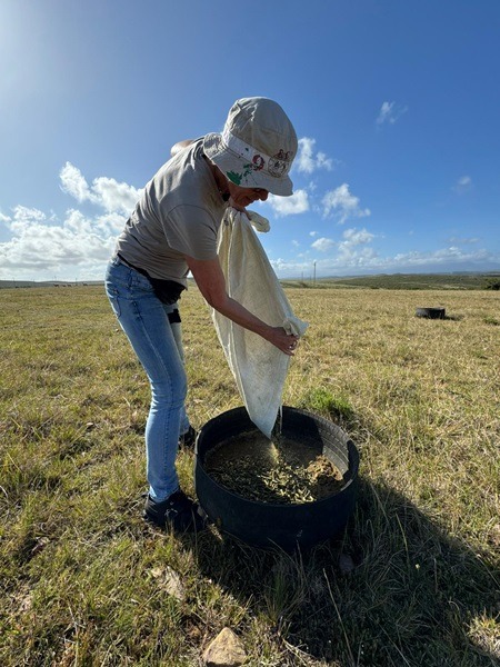 Sabbatical Natur und Artenschutz Südafrika