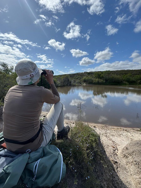 Sabbatical Natur- und Artenschutz Südafrika