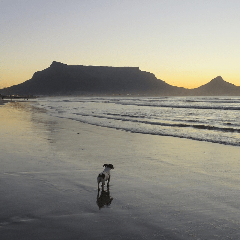 Auswahl unserer Projektpartner