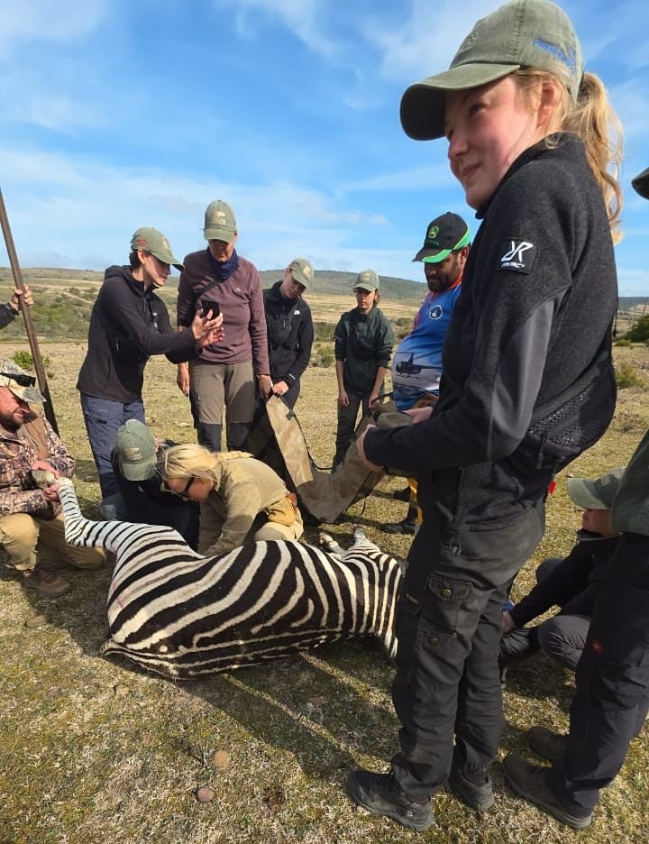 VET Praktikum in Südafrika