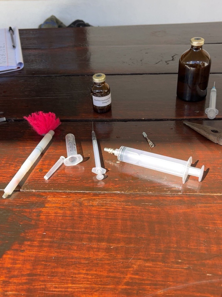 VET Praktikum in Südafrika