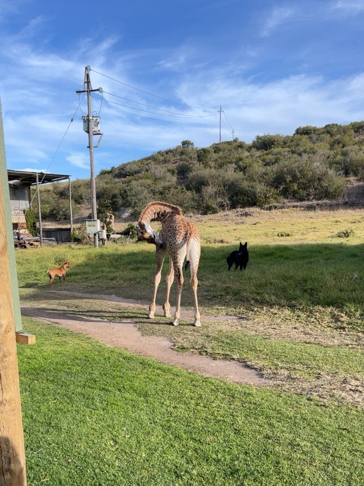 VET Praktikum Südafrika
