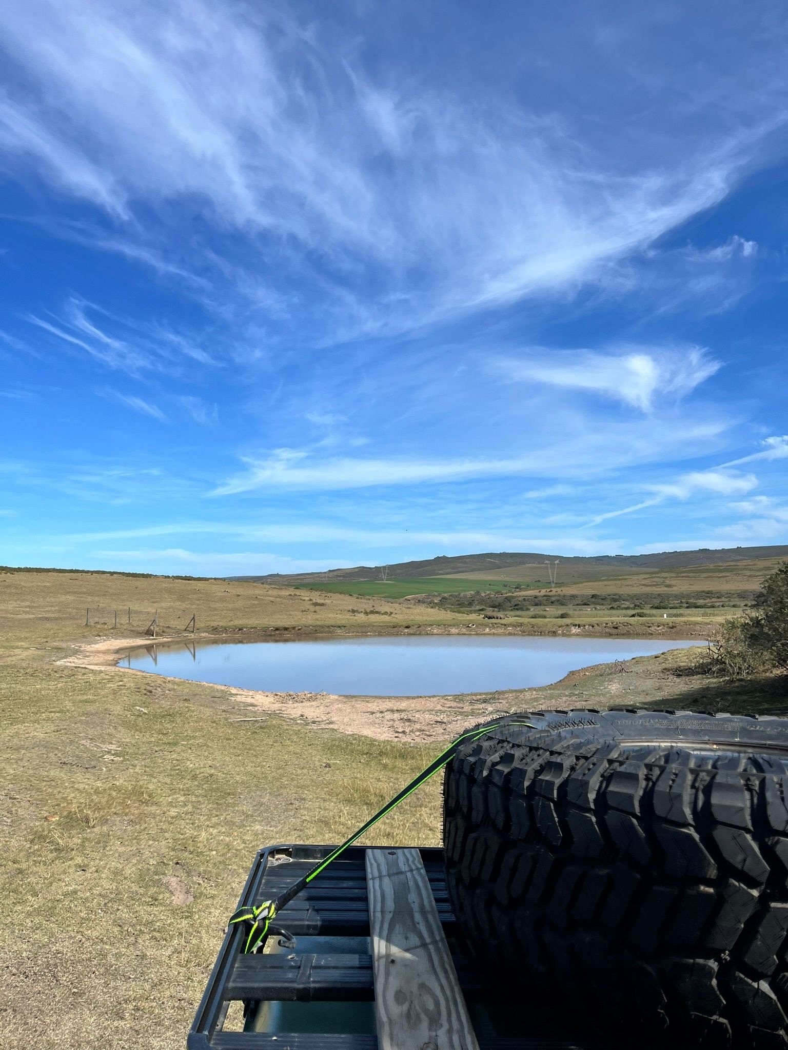 Vet Praktikum in Südafrika