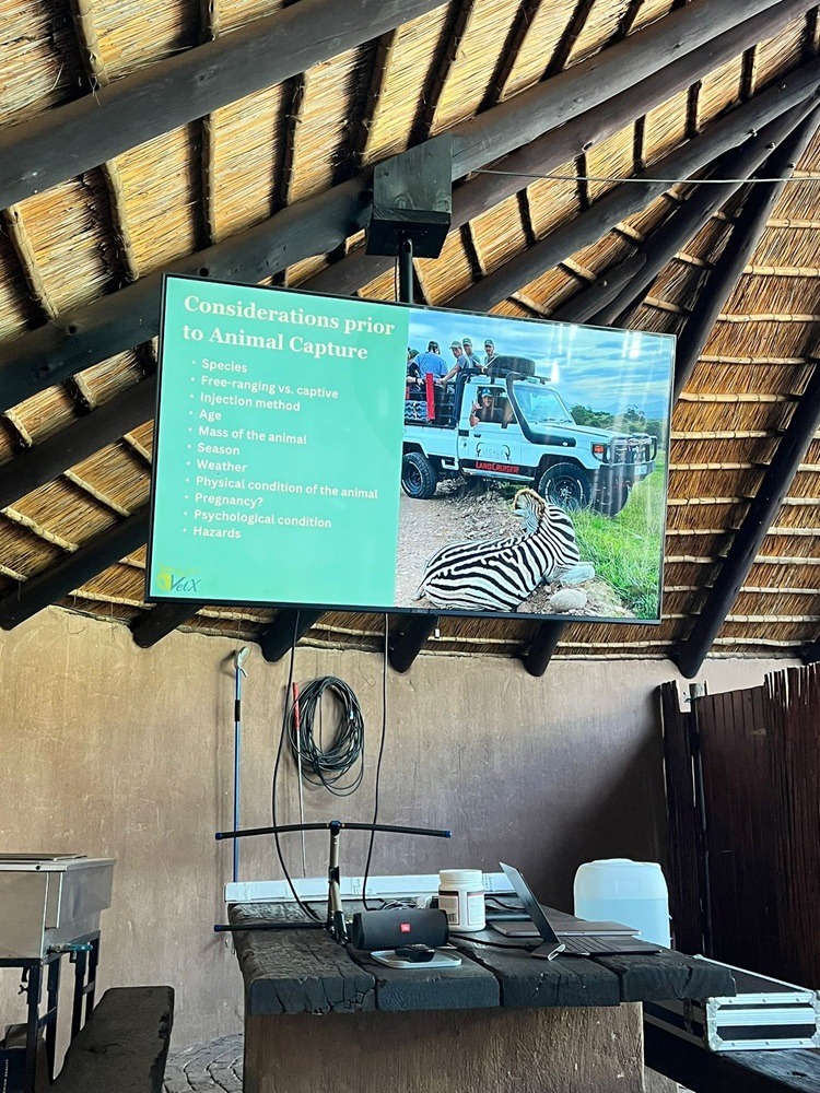 VET Praktikum in Südafrika