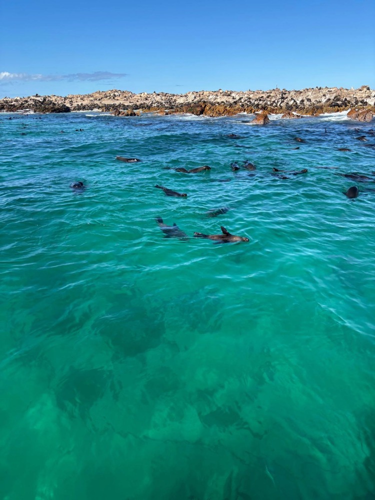 Erfahrungsbericht NIcholar Kerl Lehramt 11