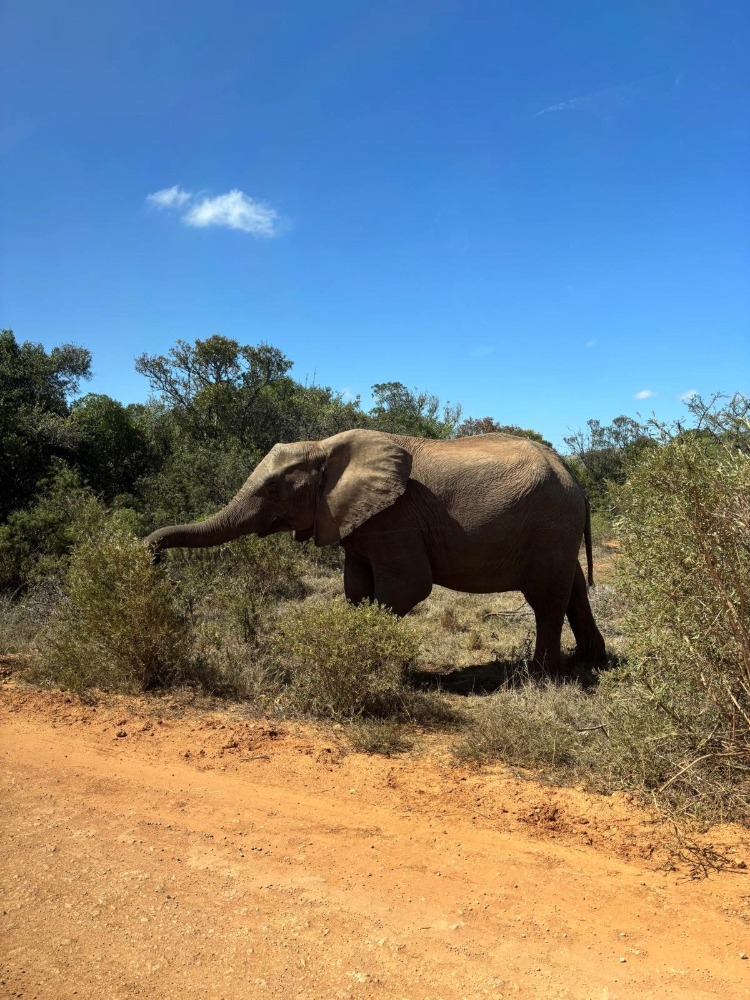 Erfahrungsbericht NIcholar Kerl Lehramt 14