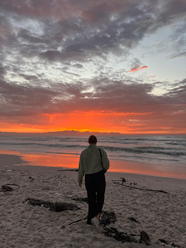 Freiwilligendienst Ergotherapie im Surfprojekt19