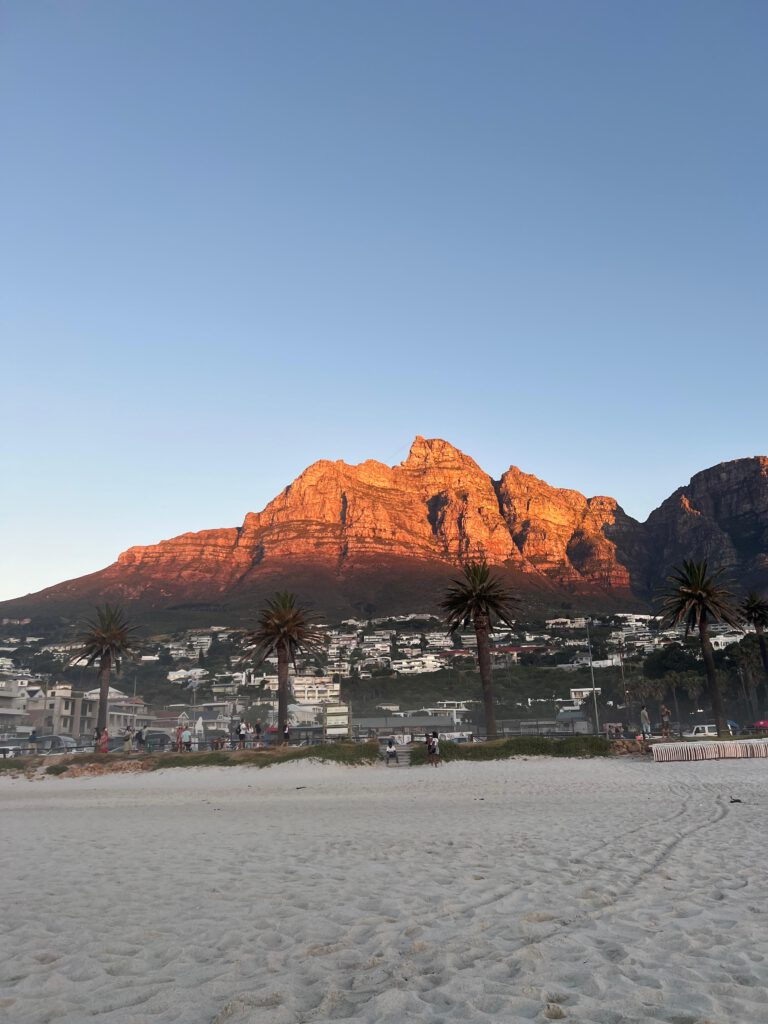 FreiwilligendienstErgotherapie23