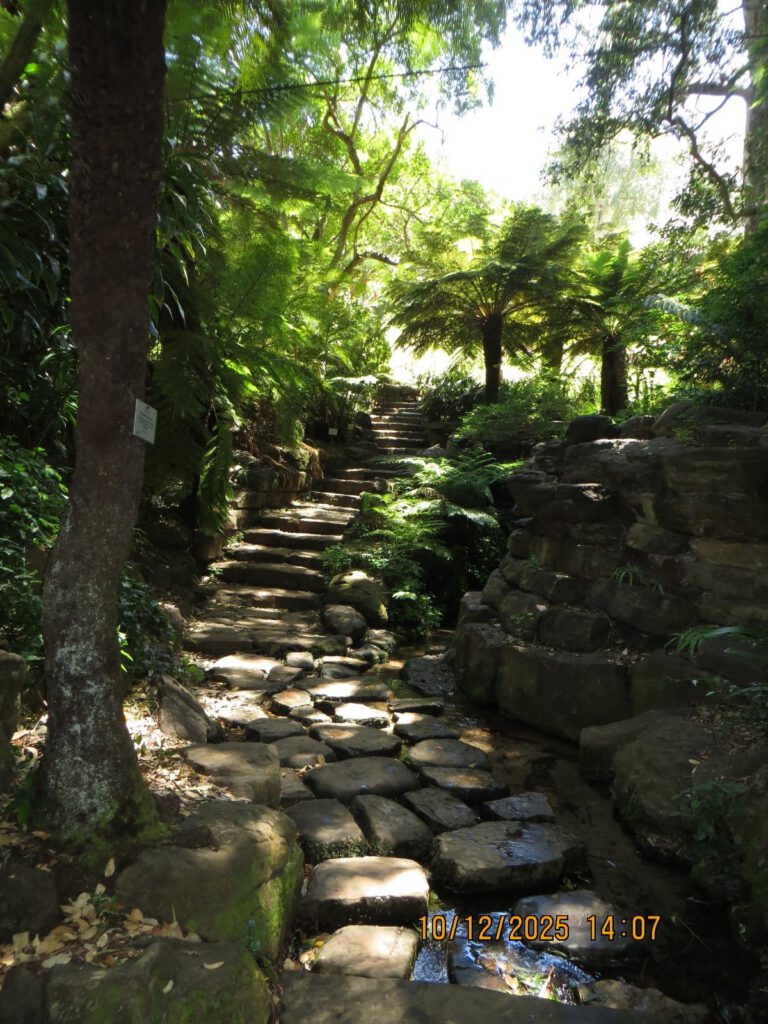 Praktikum in Südafrika Fußballverein 11