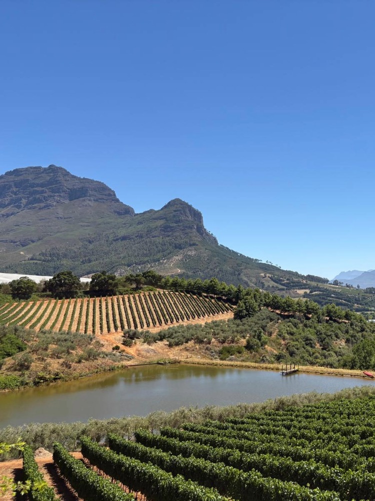 Praktikum in Südafrika Fußballverein 3