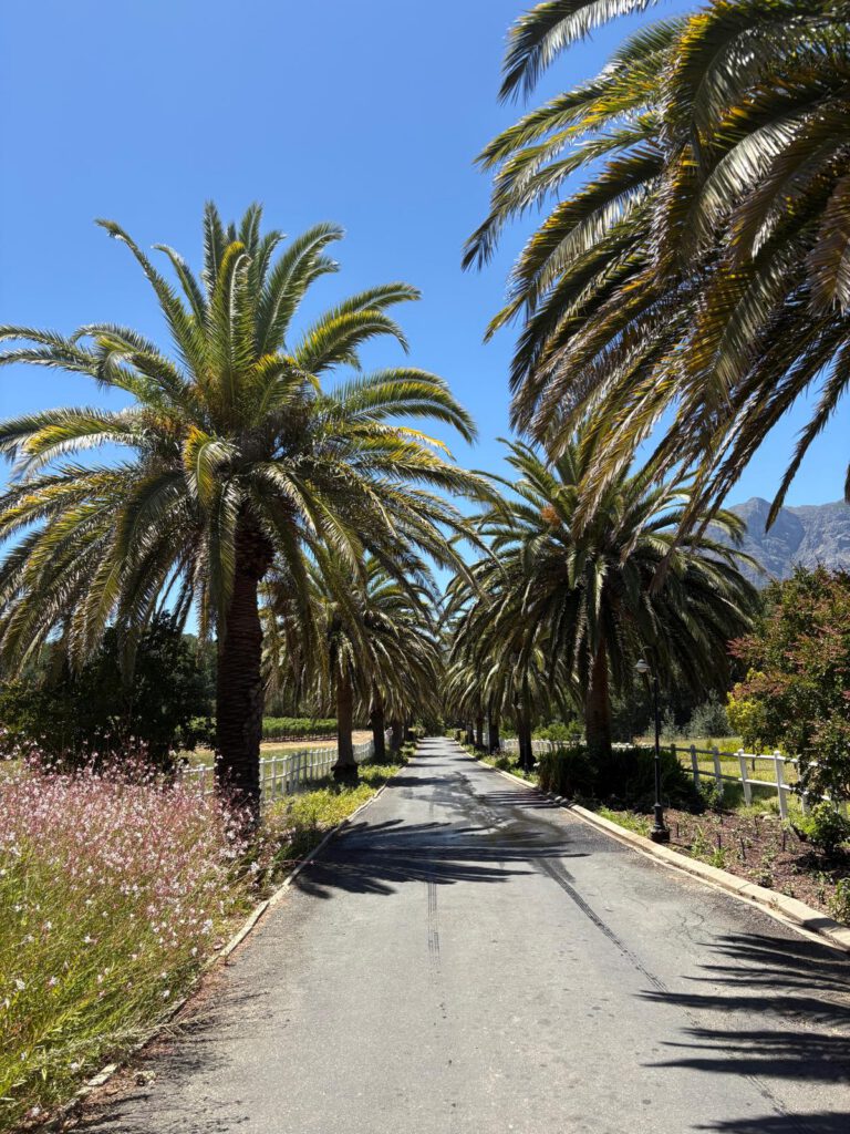 Praktikum in Südafrika Fußballverein 7