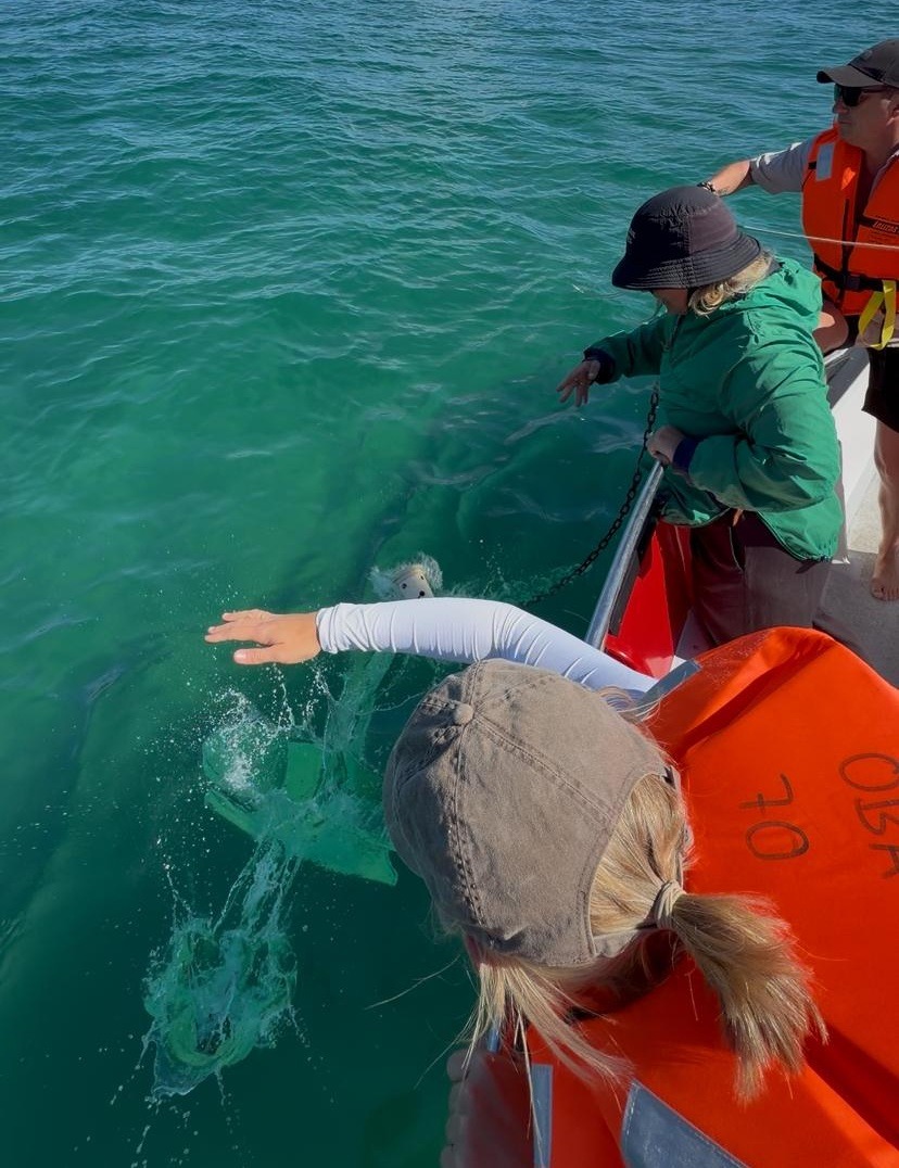 Praktikum Meeresschutz Suedafrika 1200x900 1