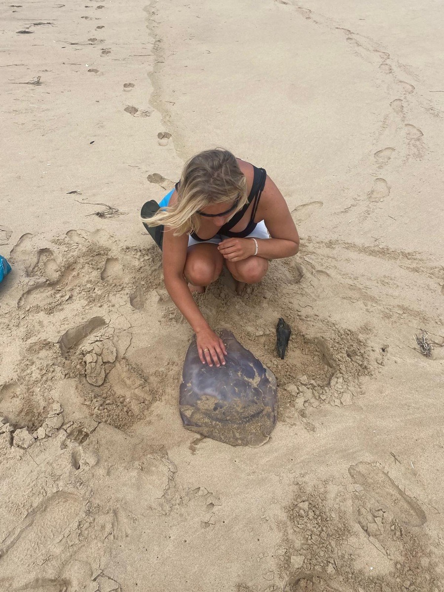 Praktikum Meeresschutz Suedafrika 1200x900 5