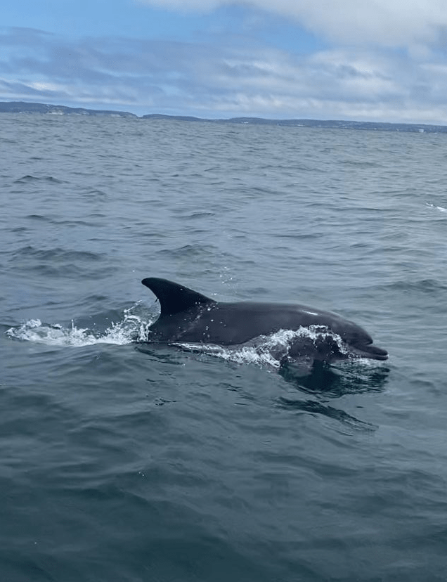 Praktikum Meeresschutz Suedafrika 1200x900 9