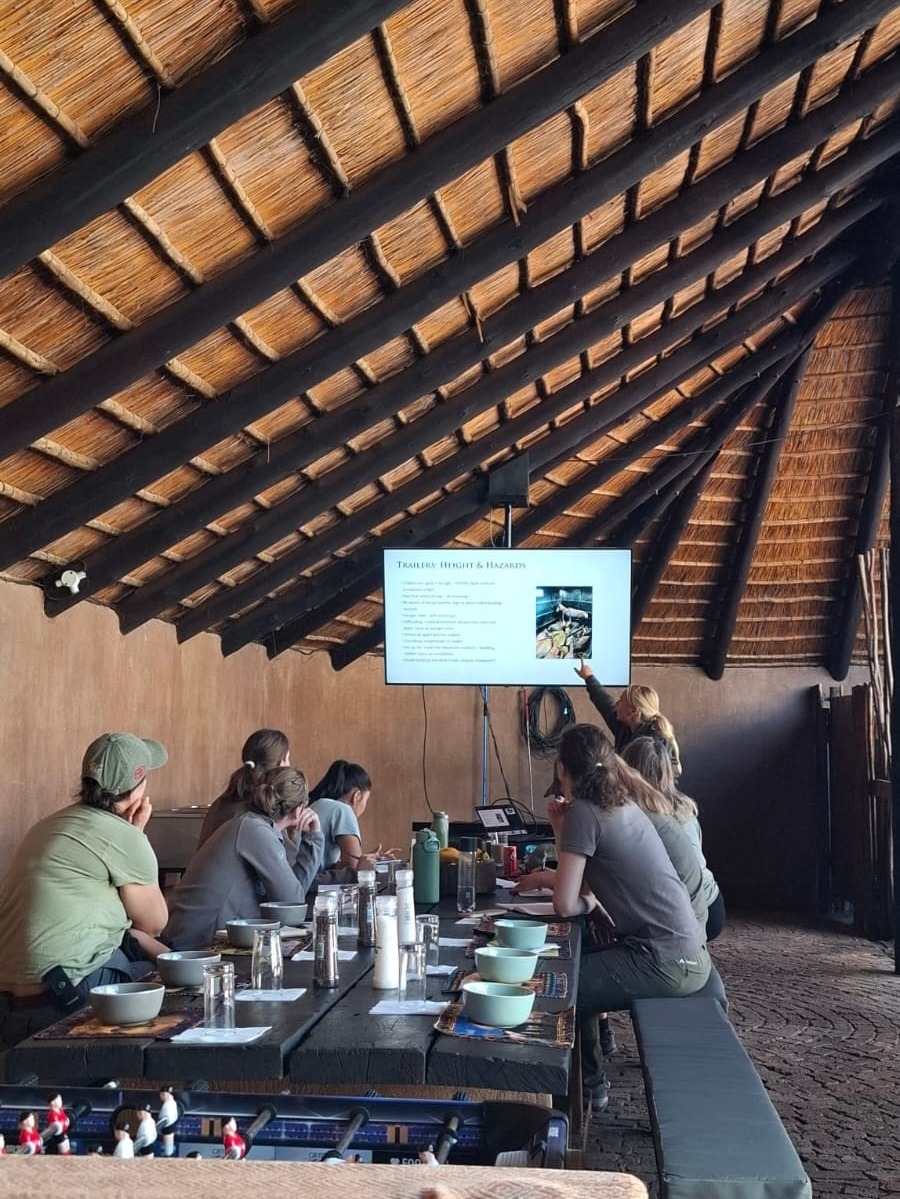 Tiermedizin Praktikum Südafrika 1200x600 3