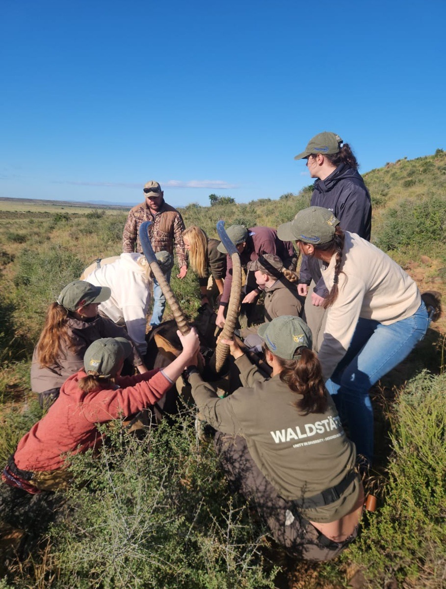 Tiermedizin Praktikum Südafrika 1200x600 4