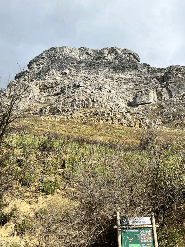 Devils Peak Blog 1
