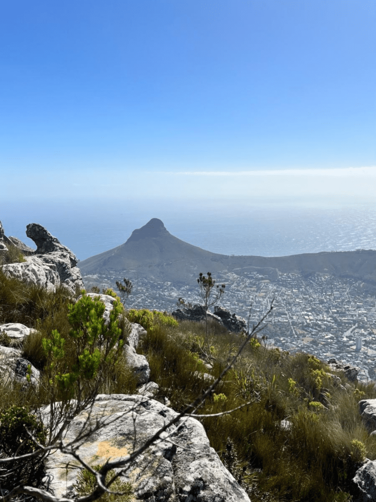 Devil's Peak Hike Blog 2