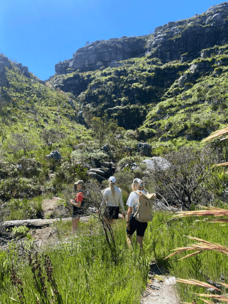 Tafelberg Hike Bild 2